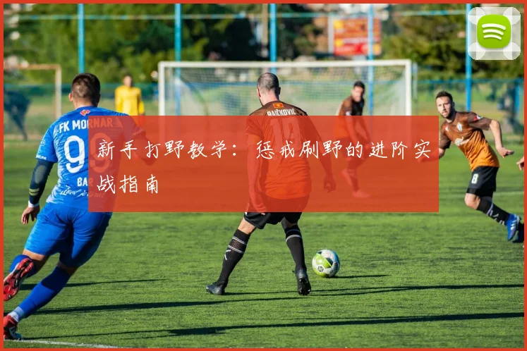 新手打野教学:惩戒刷野的进阶实战指南