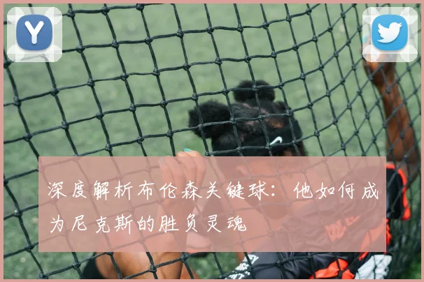 深度解析布伦森关键球：他如何成为尼克斯的胜负灵魂