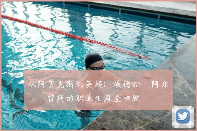 从阿贾克斯到英超:埃德松·阿尔瓦雷斯的职业生涯全回顾